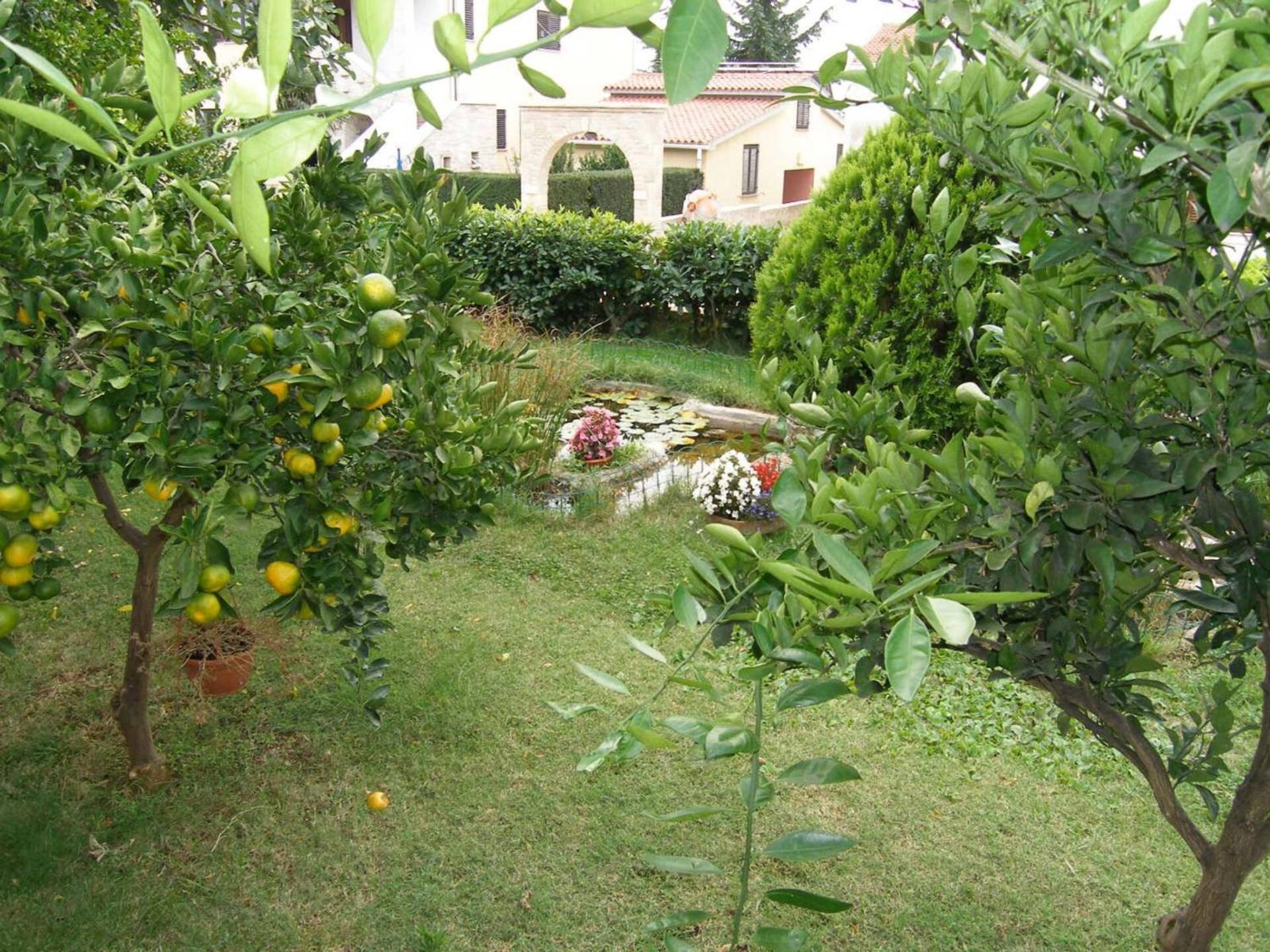 Family House With 2 Apartments - Irma Medulin Dış mekan fotoğraf